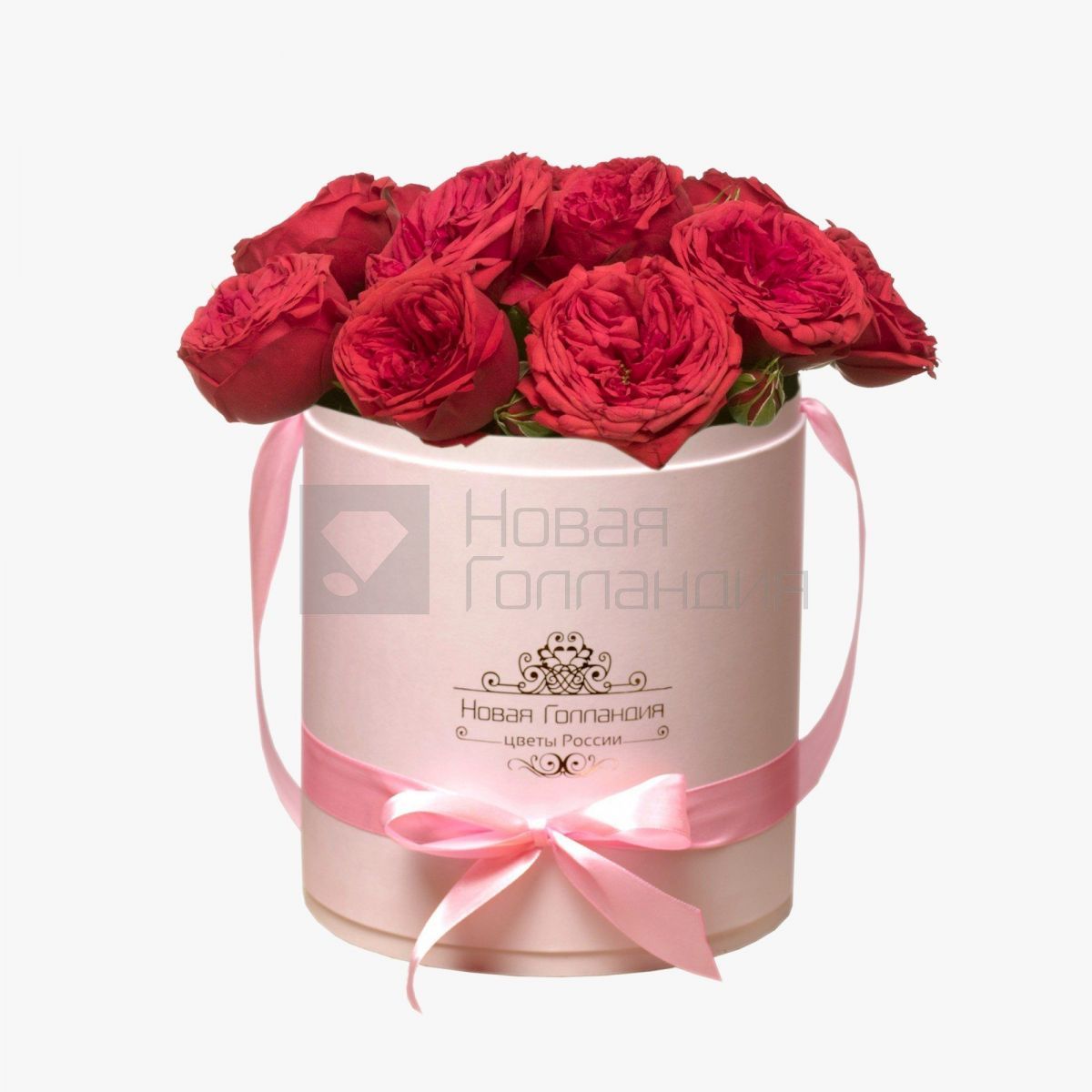 11 красных пионовидных роз Премиум в розовой шляпной коробке №357