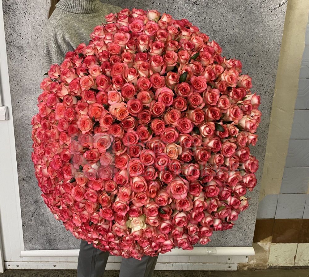 Букет из 301 розовой розы 60 см
