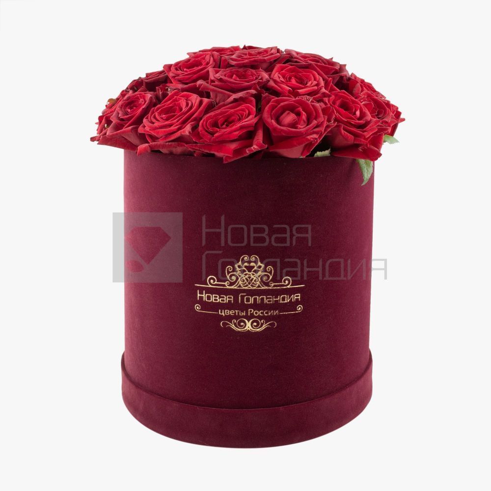 25 красных роз в бархатной коробке