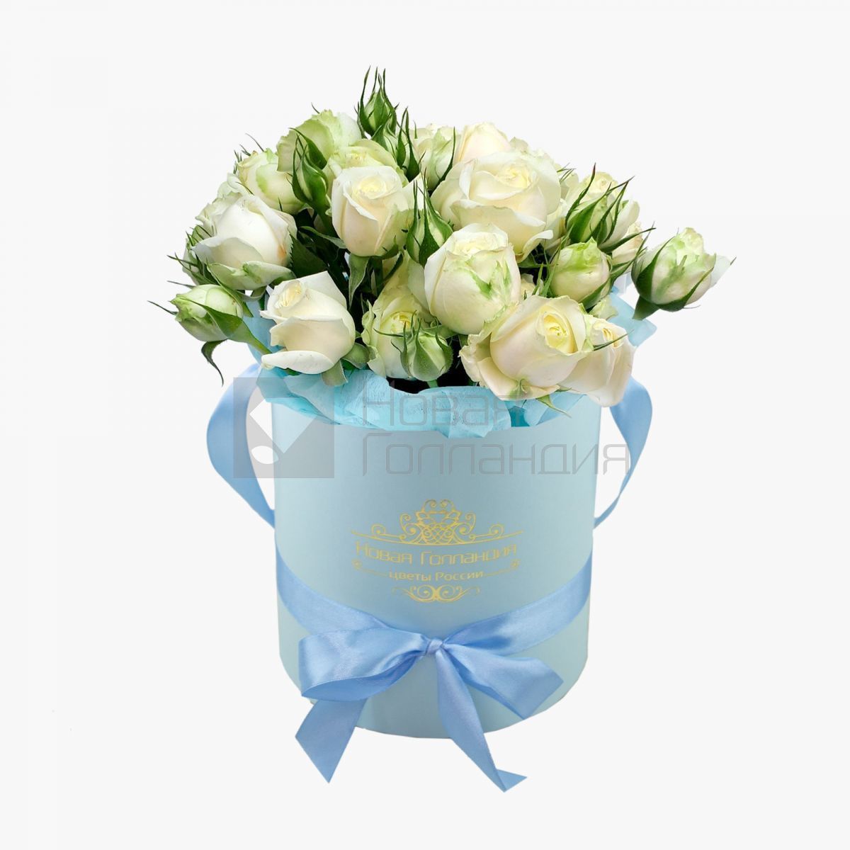 Белые пионовидные розы в маленькой голубой шляпной коробке №712