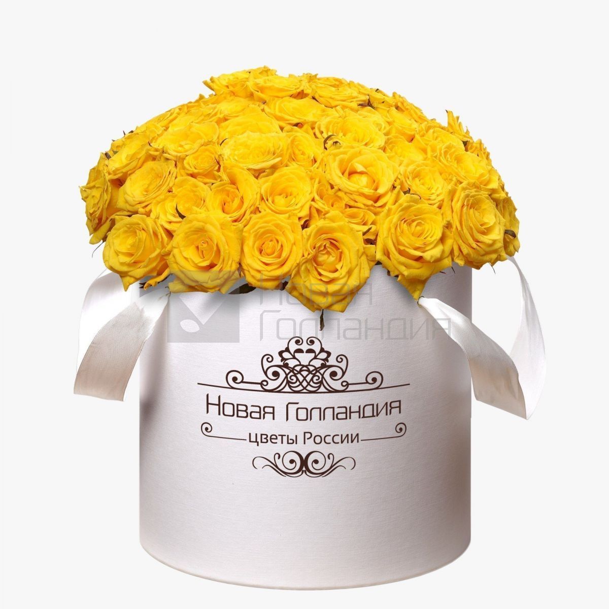 51 Желтая роза в большой белой шляпной коробке №185