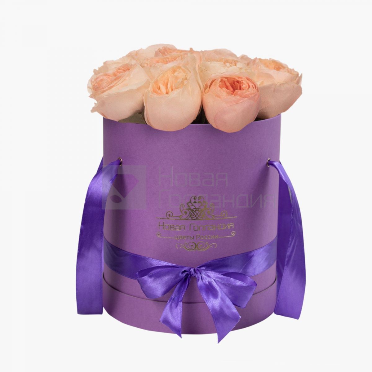 11 персиковых пионовидных роз Премиум в сиреневой шляпной коробке №363