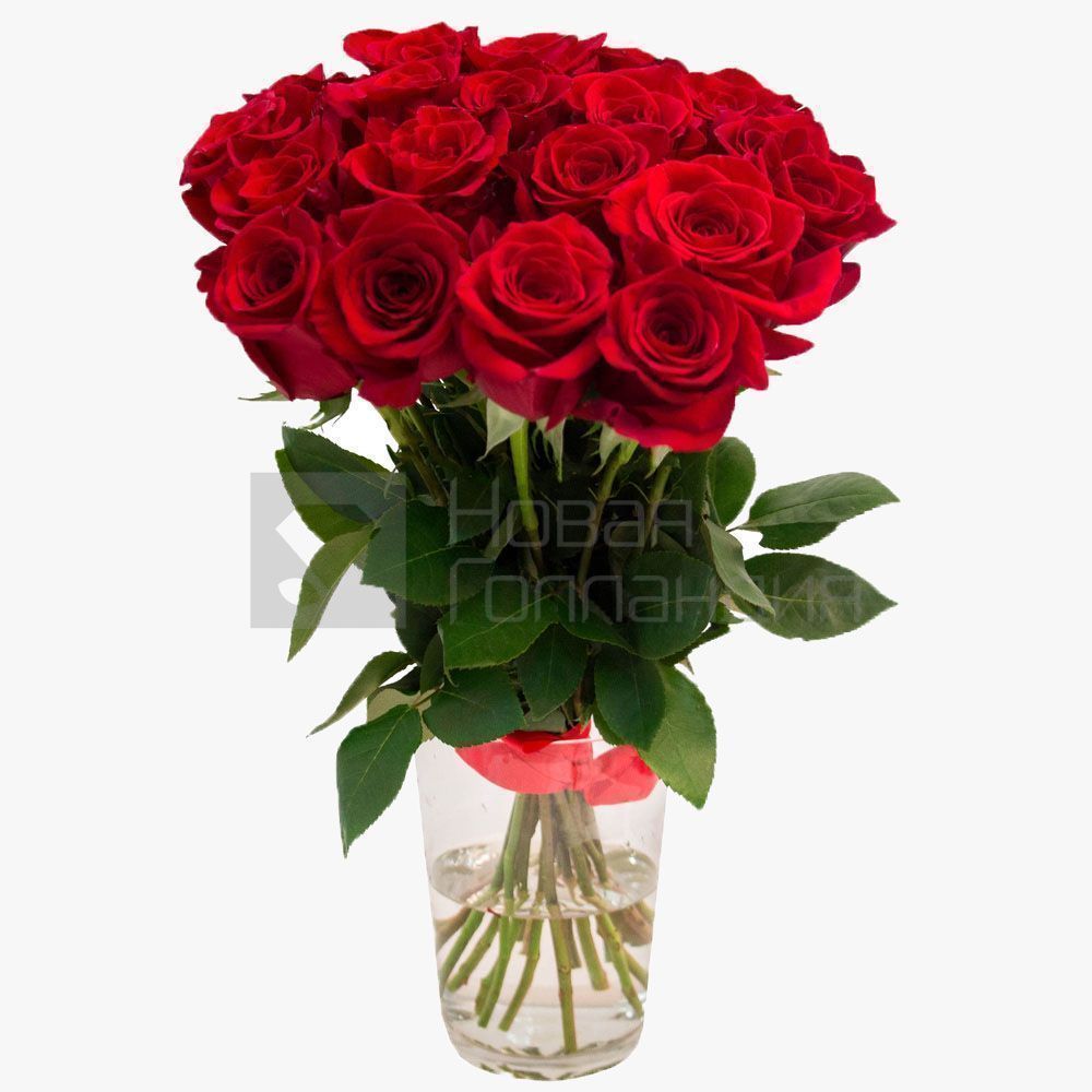 21 красная роза Премиум Эквадор 60 см.