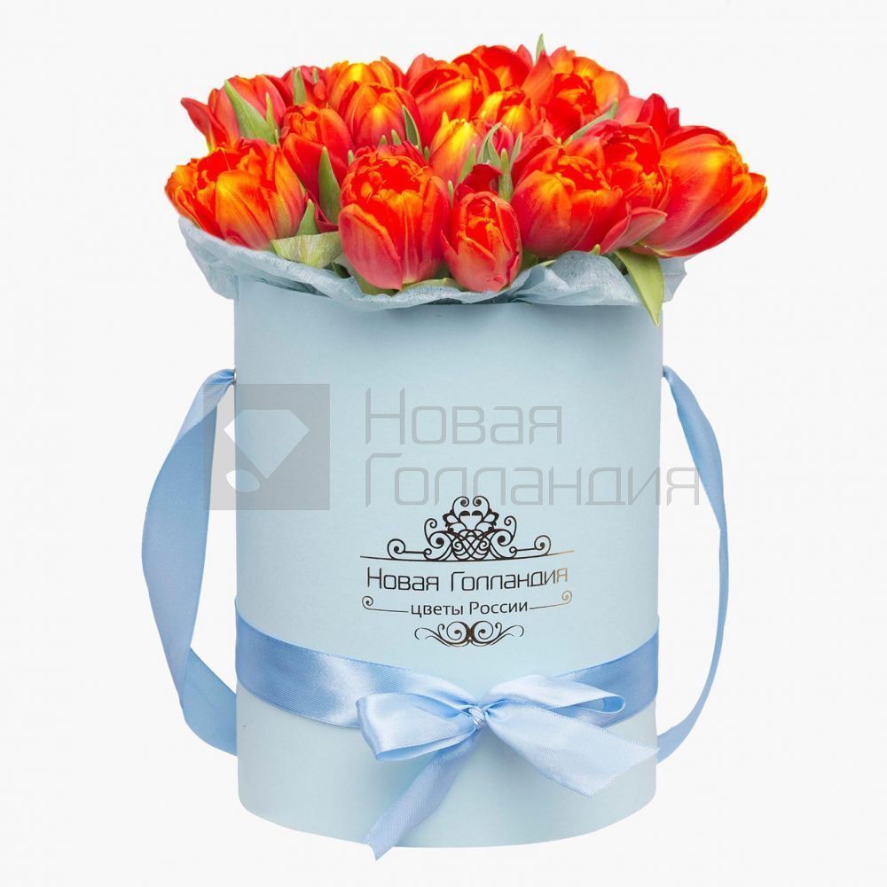 35 красно-рыжих тюльпанов в голубой шляпной коробке №555