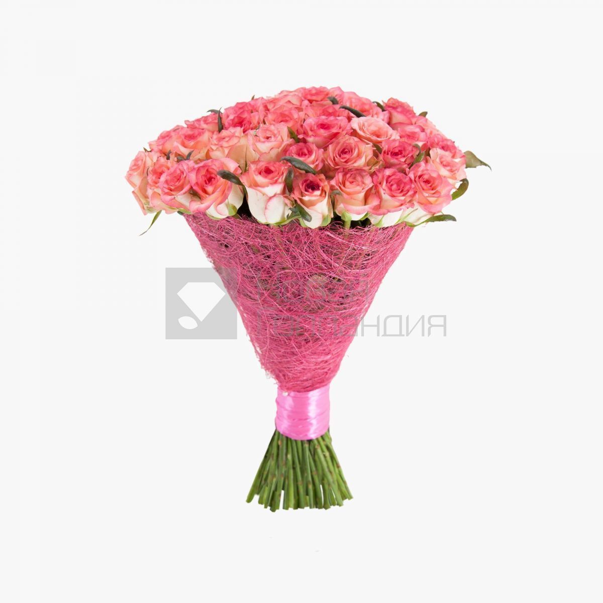 Букет 51 розовая роза 60см