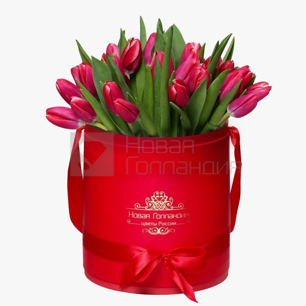 35 малиновых тюльпанов в красной шляпной коробке №229
