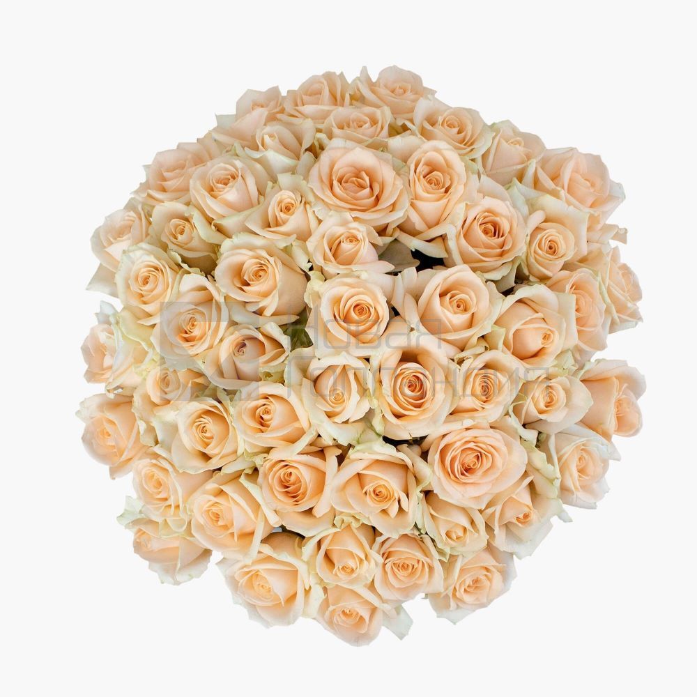 51 Кремовая роза в большой белой шляпной коробке №186