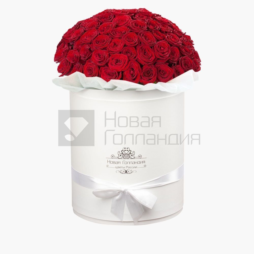 51 роза Премиум Эквадор в белой шляпной коробке №604