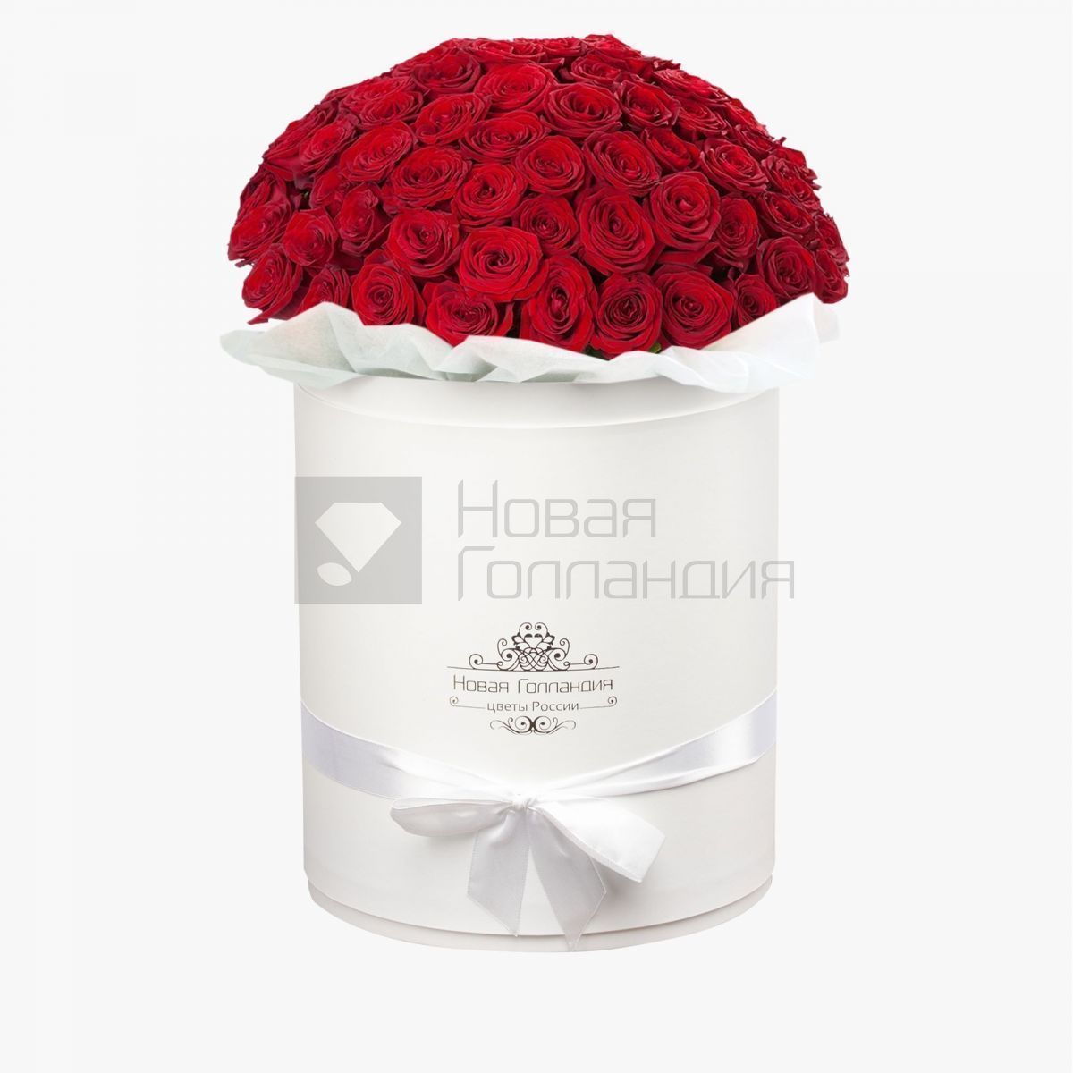 51 роза Премиум Эквадор в белой шляпной коробке №604