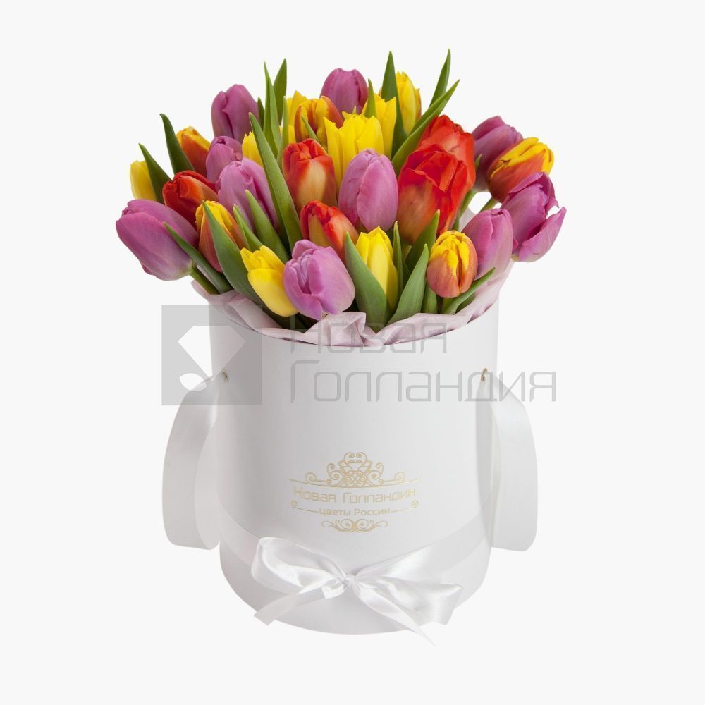 35 тюльпанов микс в белой шляпной коробке №541