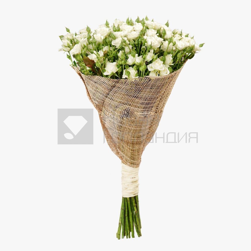 Букет 25 белых кустовых роз