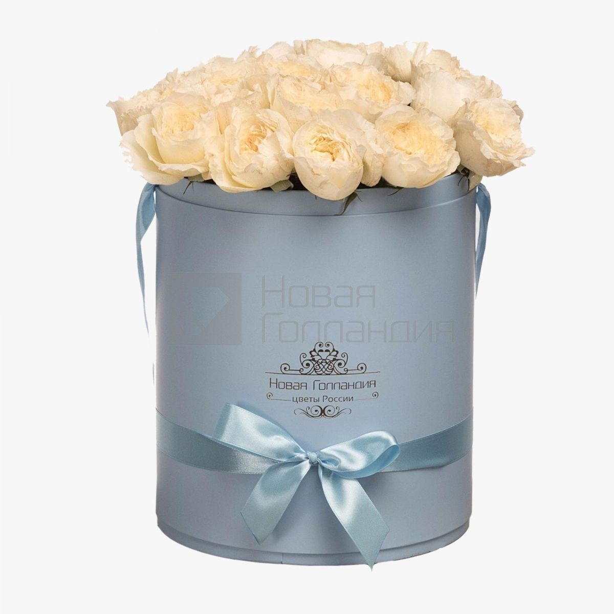 19 белых пионовидных роз премиум в большой голубой шляпной коробке №347