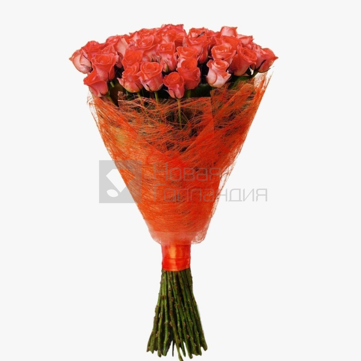 Букет 51 оранжевая роза 70см