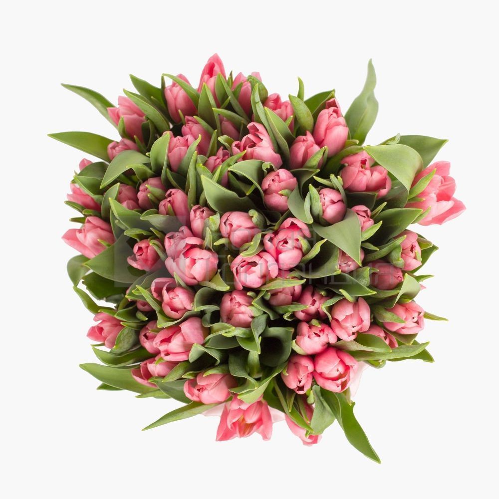 59 розовых тюльпанов в большой черной шляпной коробке №530
