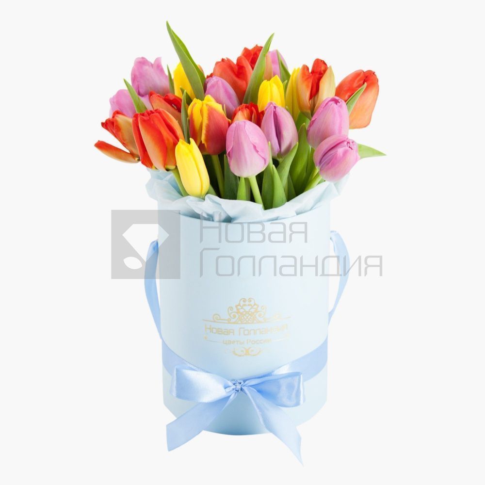 25 тюльпанов микс в голубой маленькой шляпной коробке №549