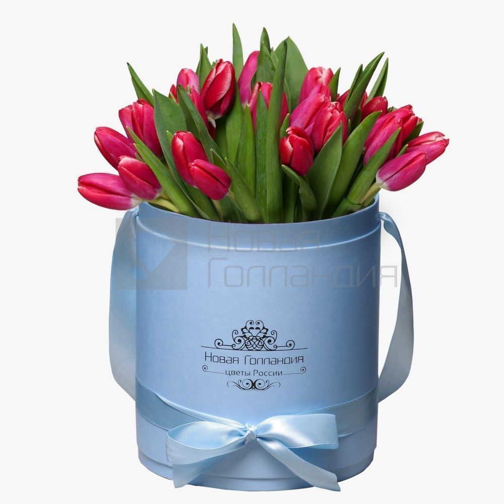 35 малиновых тюльпанов в голубой шляпной коробке №228