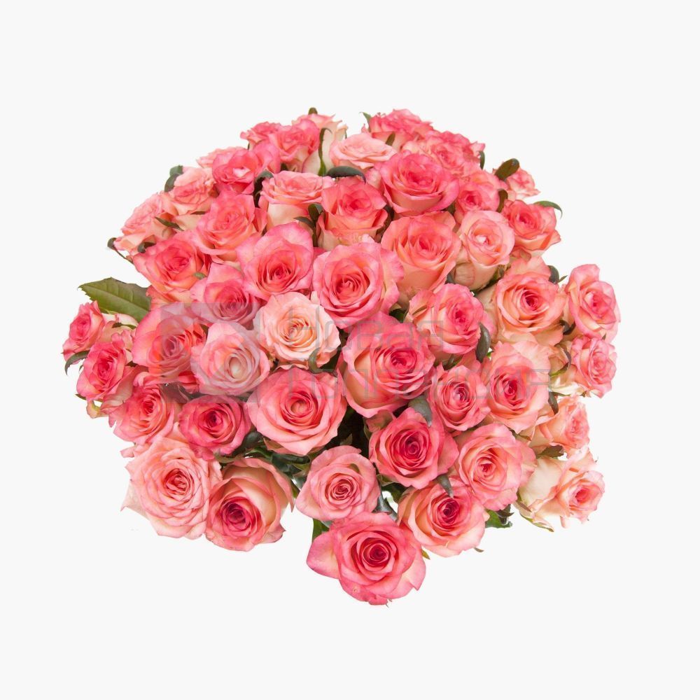 Букет 51 розовая роза Джумелия 50см.