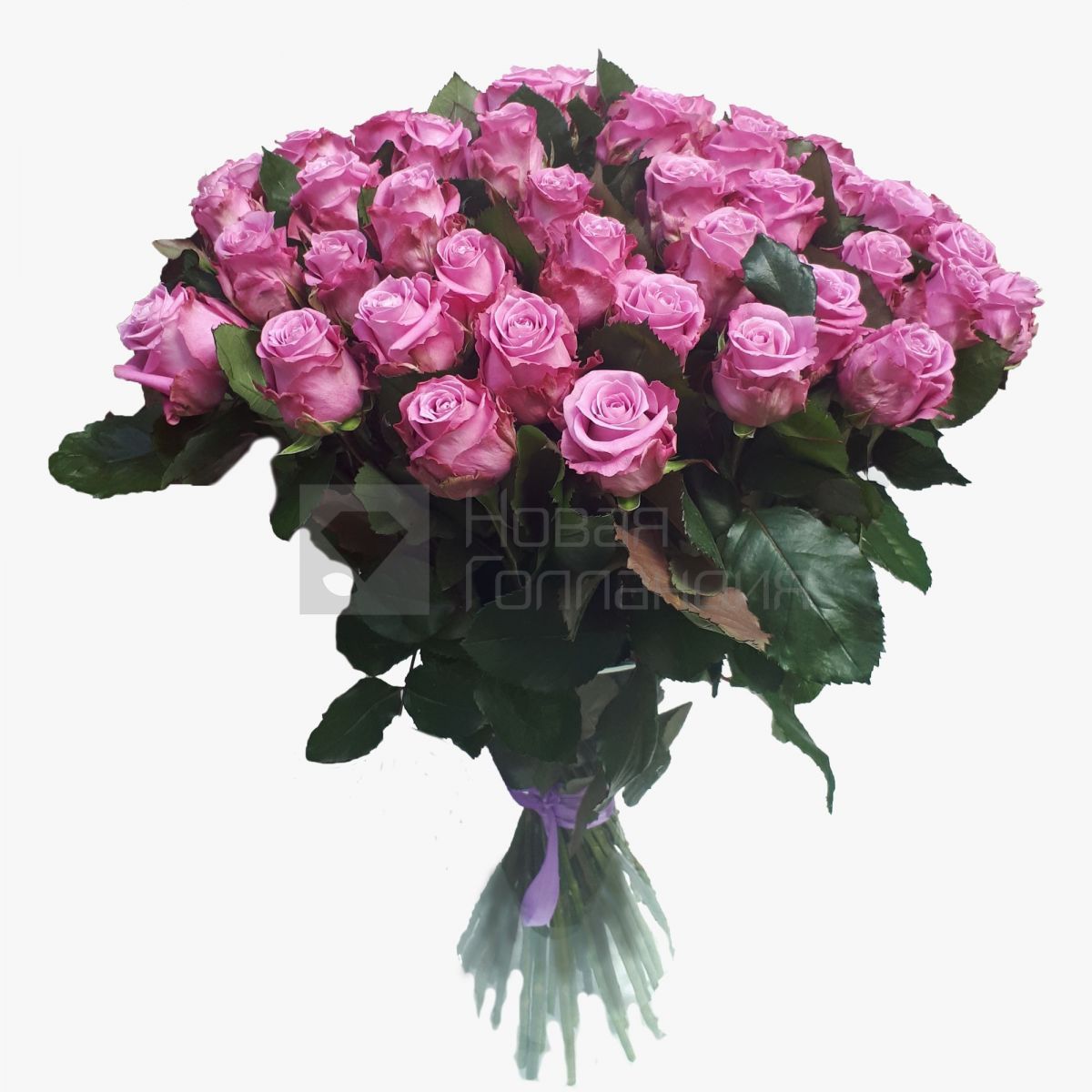 51 Сиреневая роза 50 см
