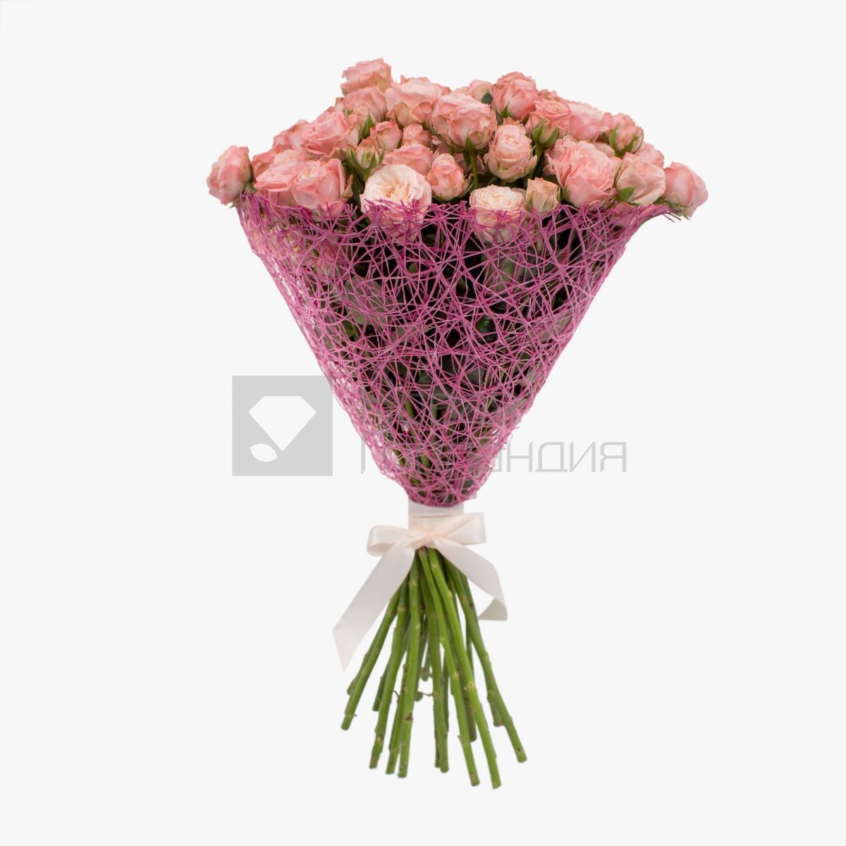 Букет 25 розовых кустовых пионовидных роз NEW
