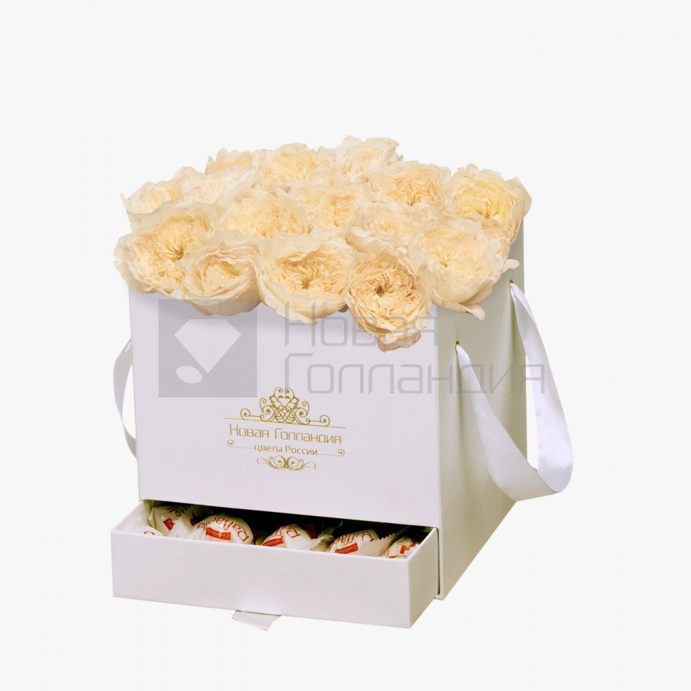 15 белых пионовидных роз Премиум в белой коробке шкатулке рафаэлло в подарок №386