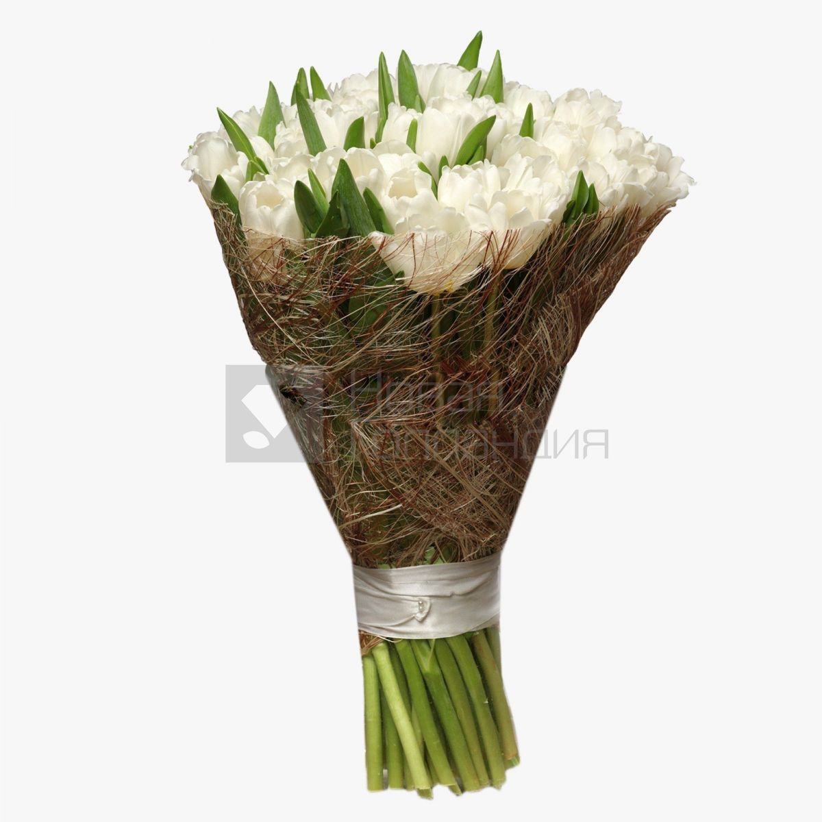 Букет 51 белый тюльпан