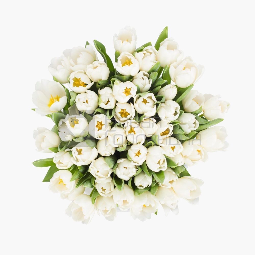 59 белых тюльпанов в большой белой шляпной коробке №509