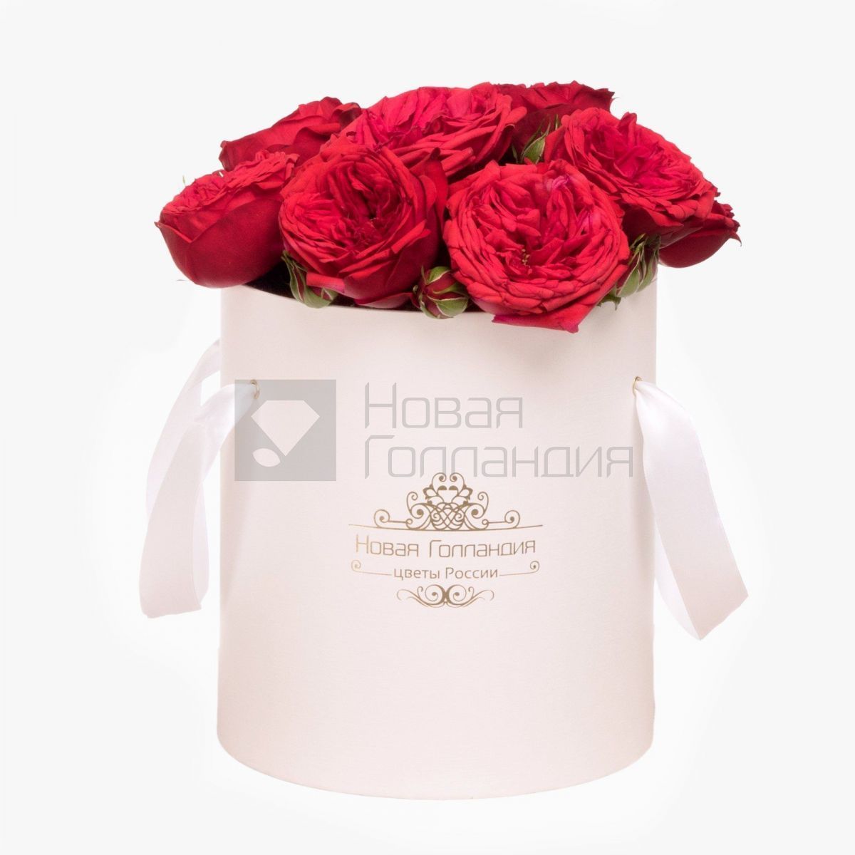 11 красных пионовидных роз Премиум в белой шляпной коробке №350