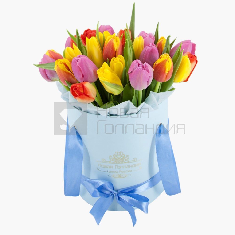 35 тюльпанов микс в голубой шляпной коробке №543