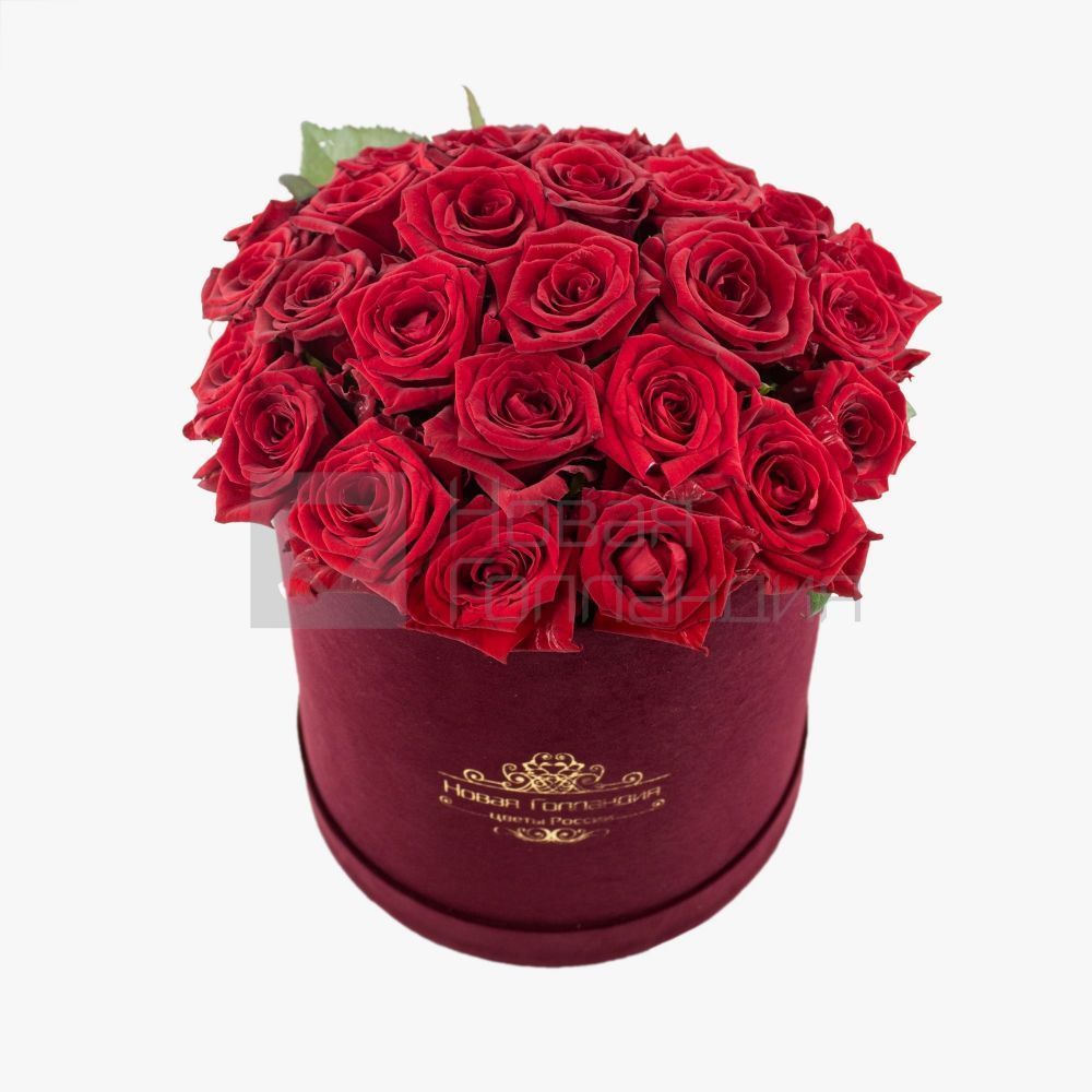 25 красных роз в бархатной коробке