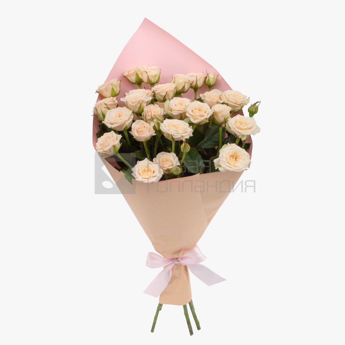 Букет 5 кремовых кустовых роз