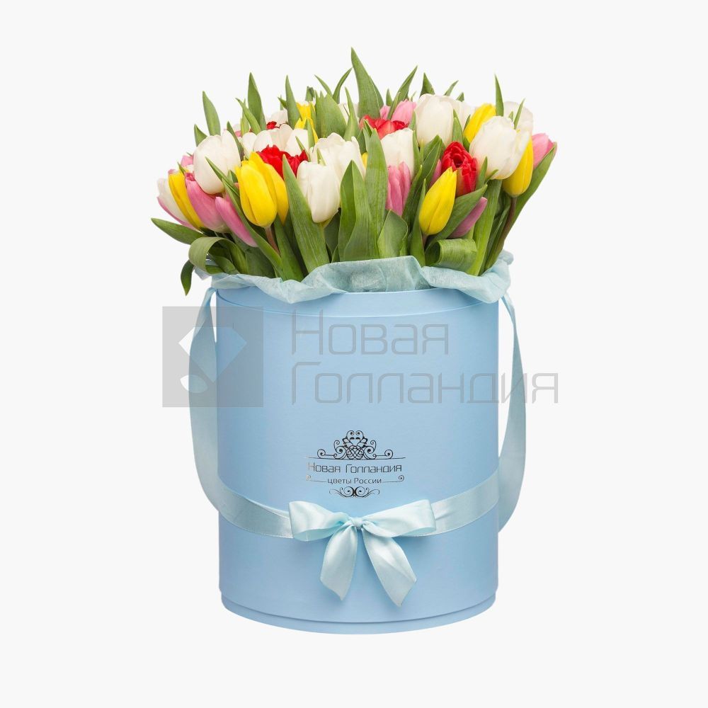 59 тюльпанов микс в большой голубой шляпной коробке №519