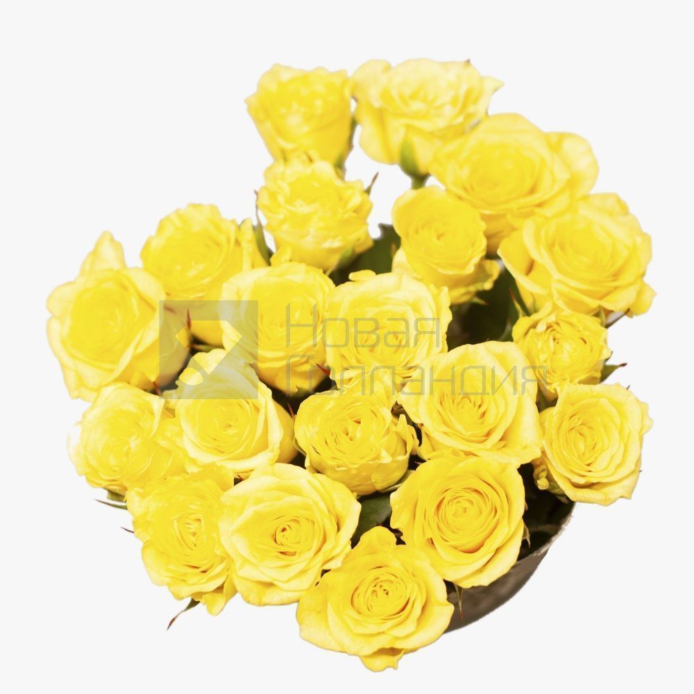 Букет 21 желтая роза 40см