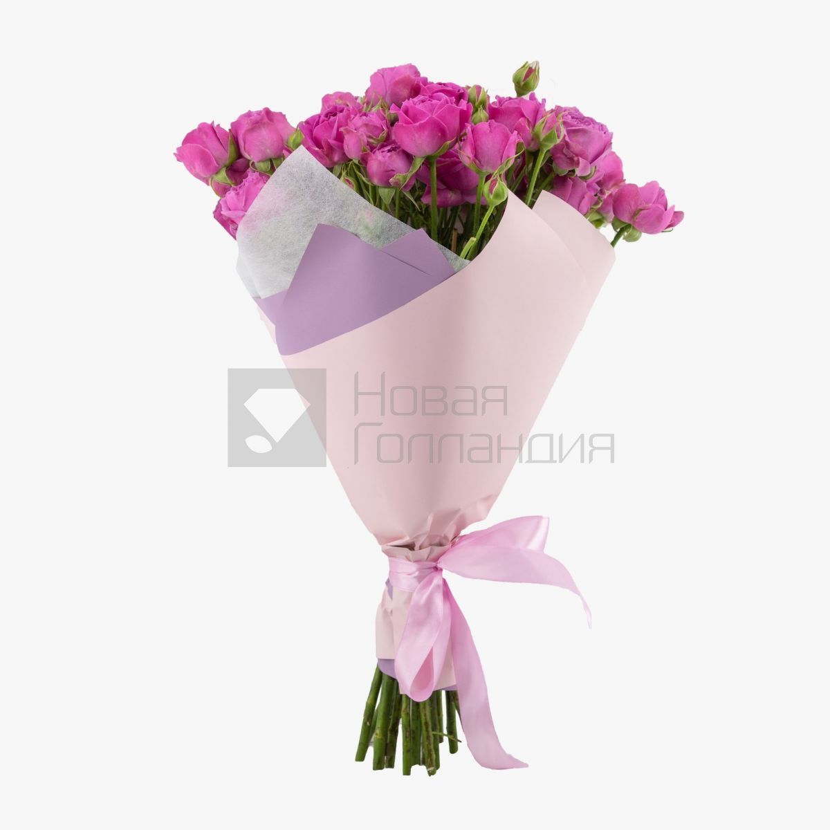 Букет из 17 розовых кустовых пионовидных роз