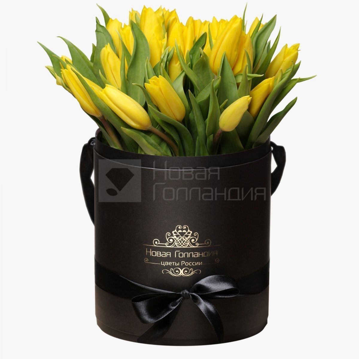 35 желтых тюльпанов в черной шляпной коробке №225