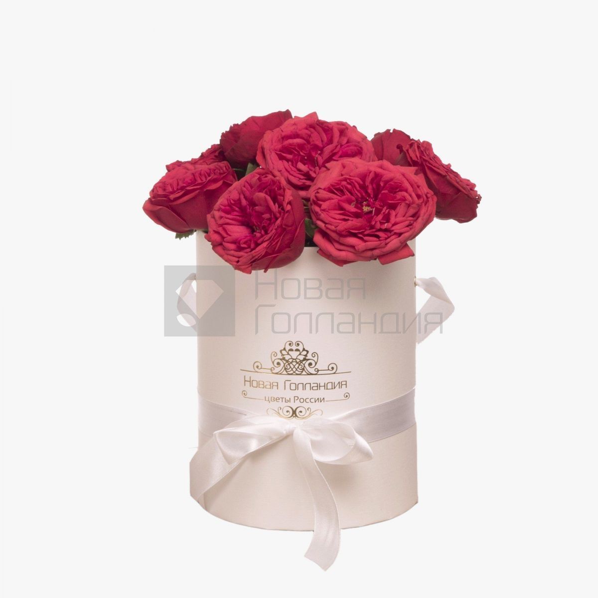 7 красных пионовидных роз Премиум в маленькой белой шляпной коробке №353