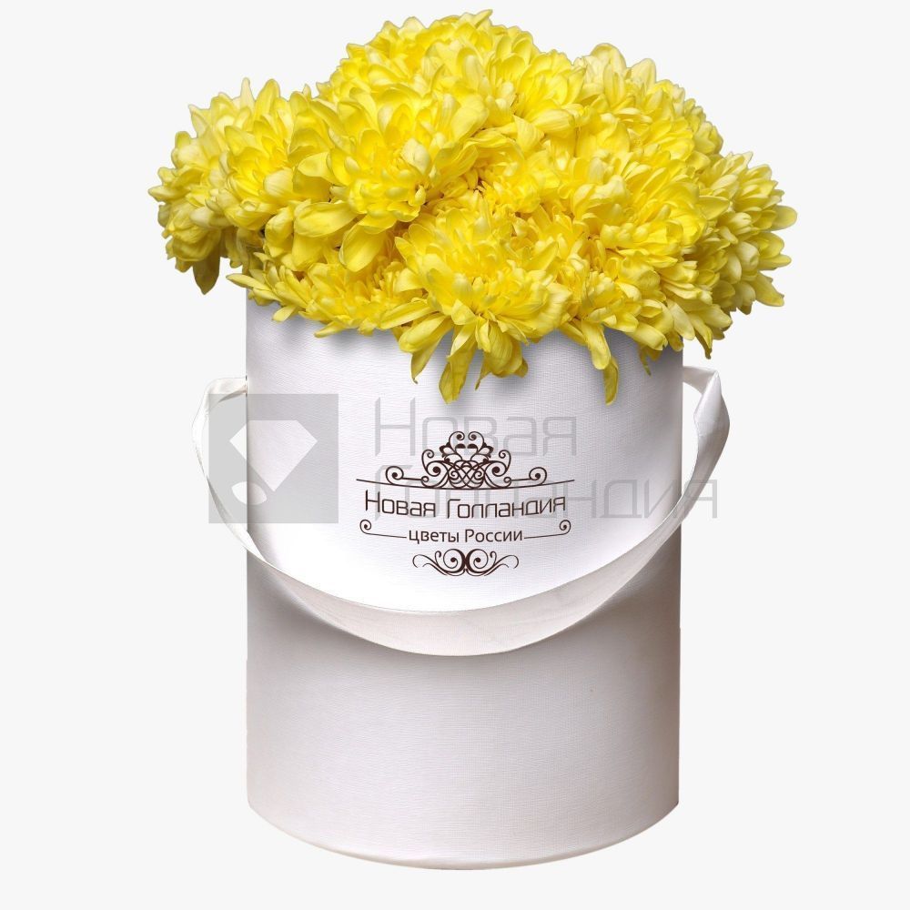 5 Желтых хризантем в маленькой белой коробке №247