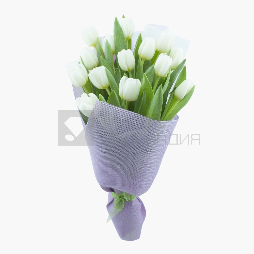 Букет 15 белых тюльпанов-1