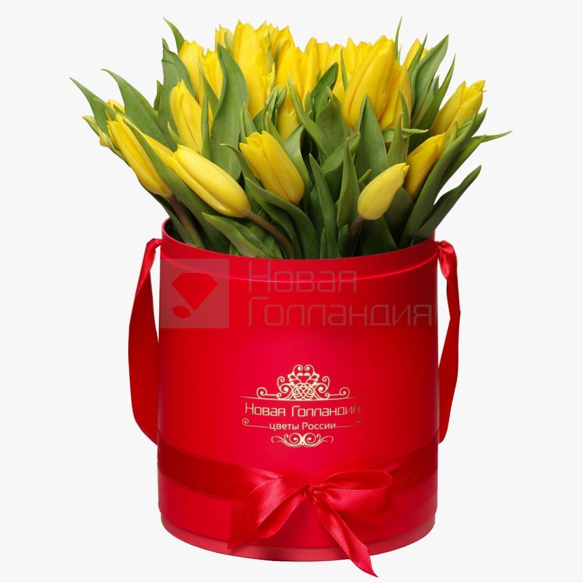 35 желтых тюльпанов в красной шляпной коробке №223