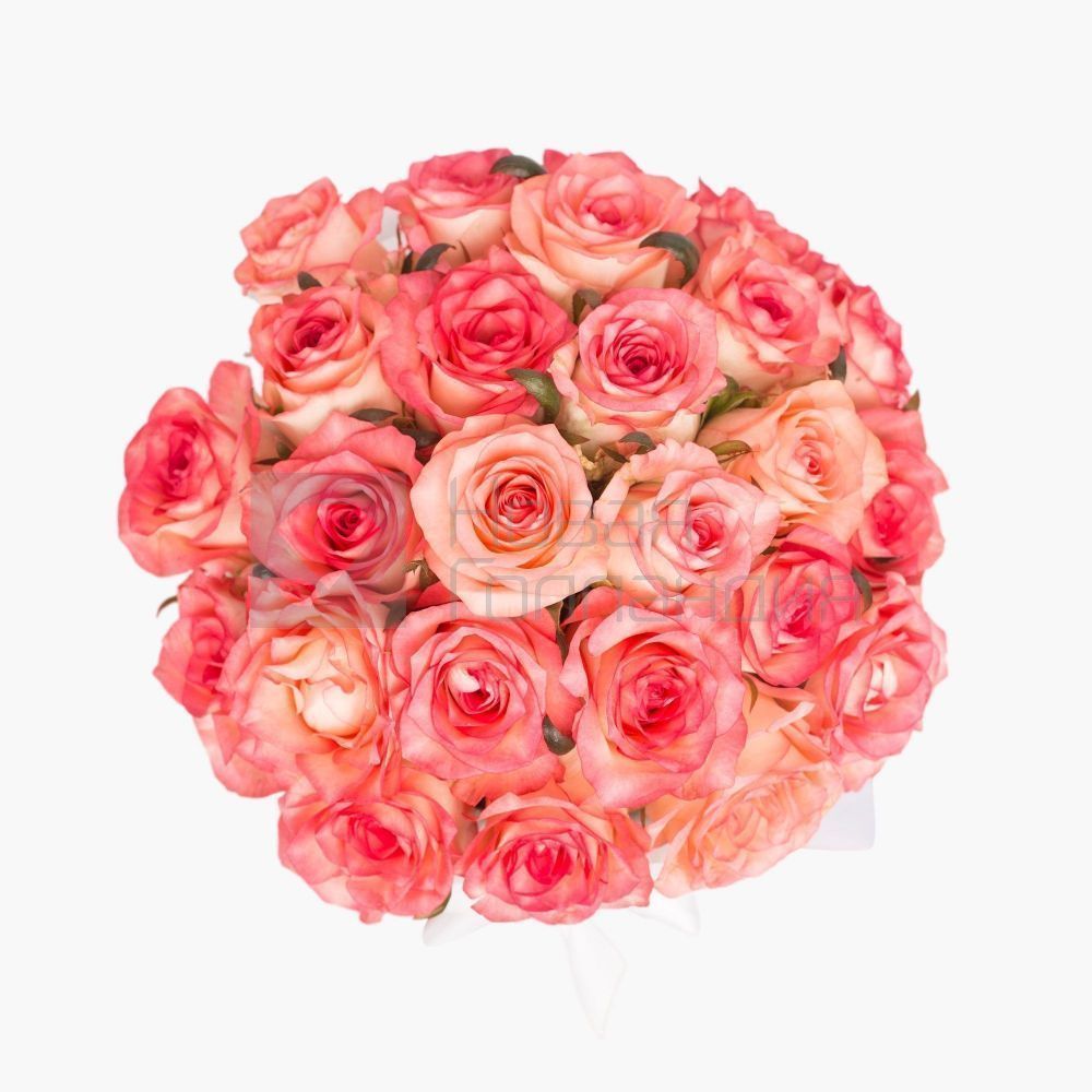 25 розовых роз Джумелия в белой шляпной коробке №162