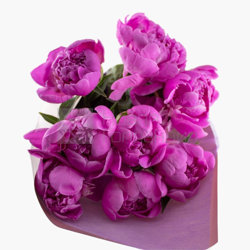 Букет 9 розовых пионов