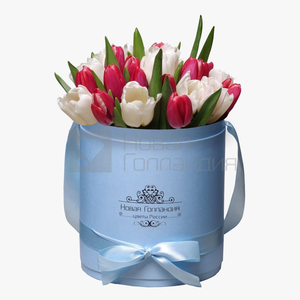 35 красно-белых тюльпанов в голубой шляпной коробке №170