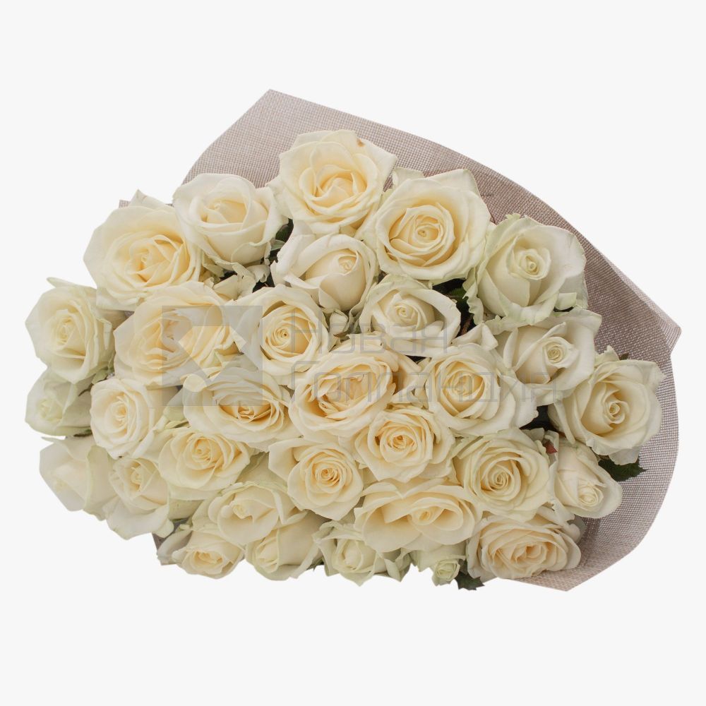 Букет 31 белая роза 60 см