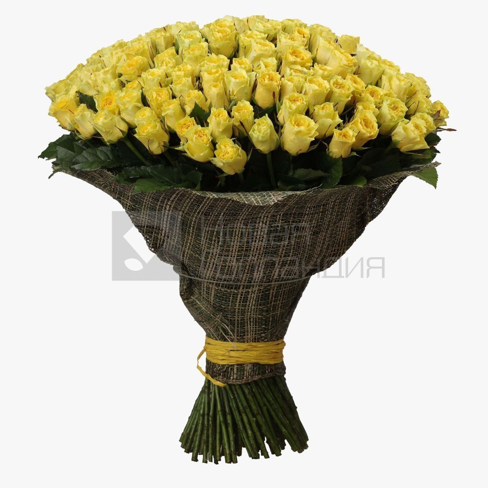 Букет из 151 желтой розы 60 см