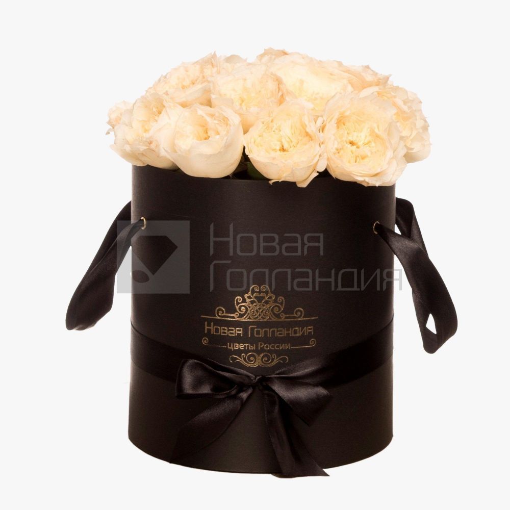 11 белых пионовидных роз Премиум в черной шляпной коробке №356