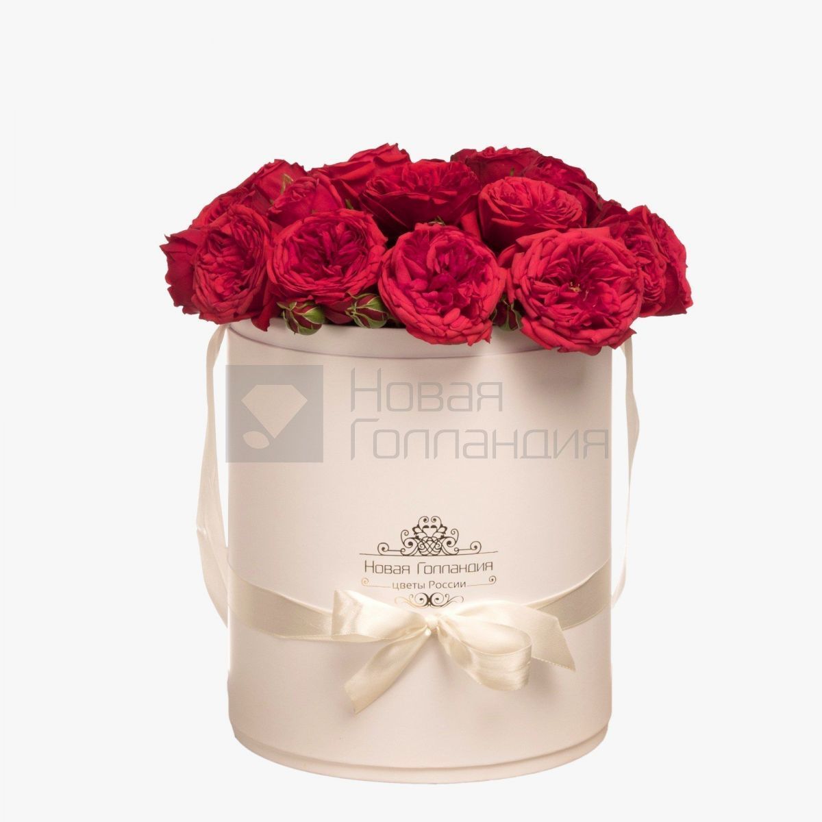 19 красных пионовидных роз премиум в большой белой шляпной коробке №348