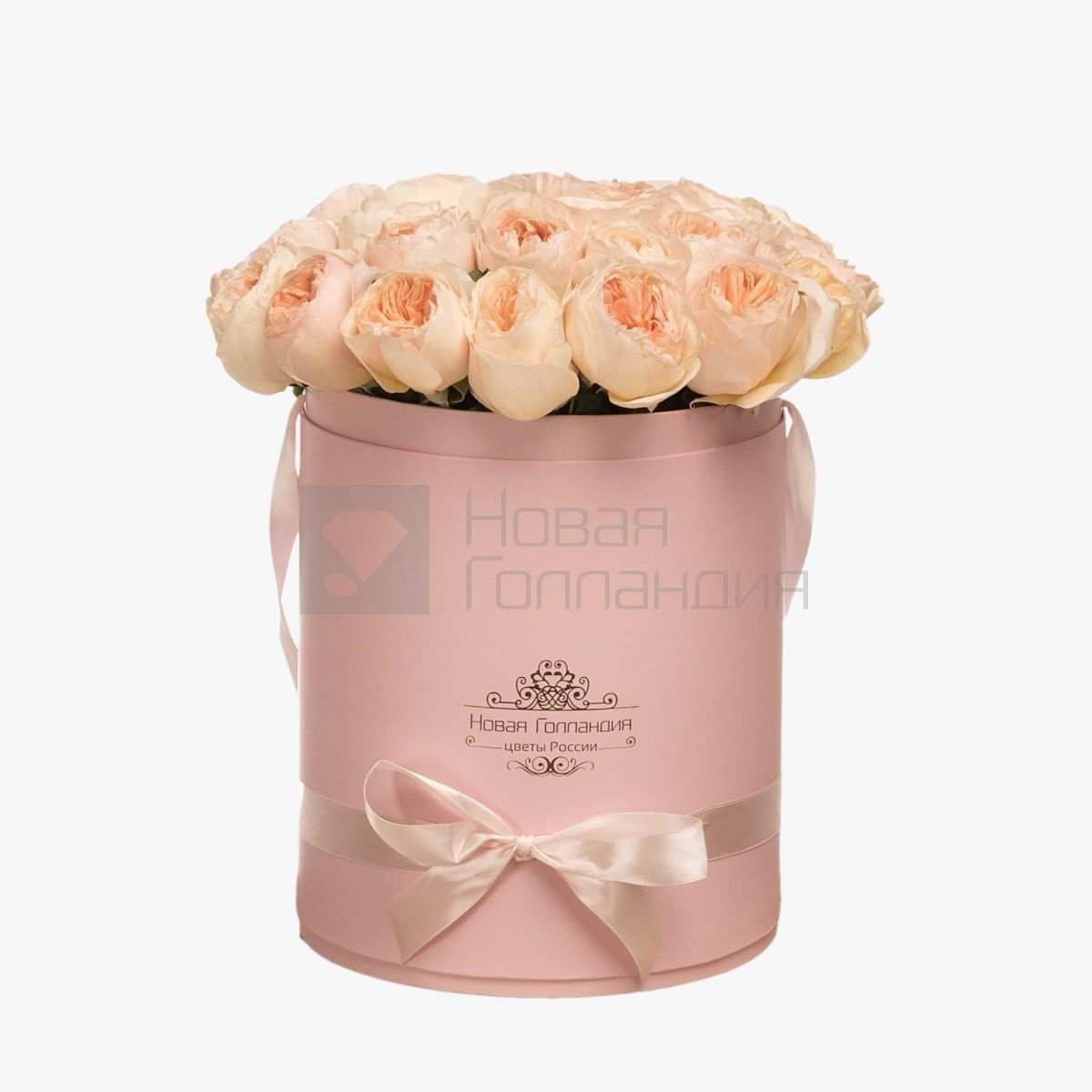 19 персиковых пионовидных роз премиум в большой розовой шляпной коробке №346