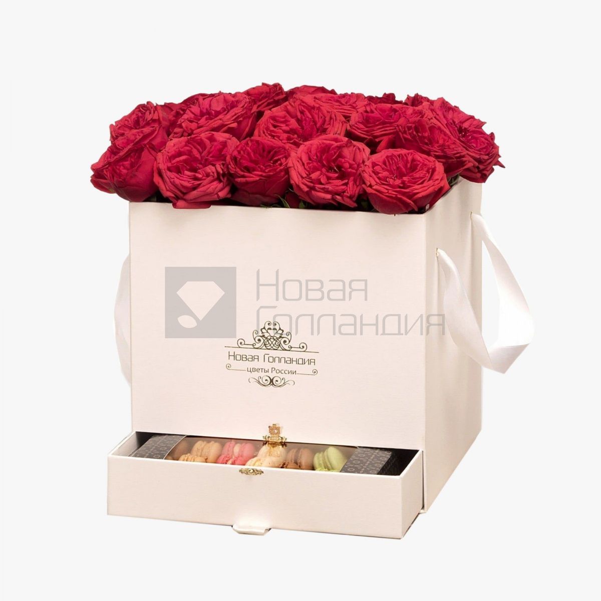 21 красных пионовидная роза Премиум в большой белой коробке шкатулке с макарунсами