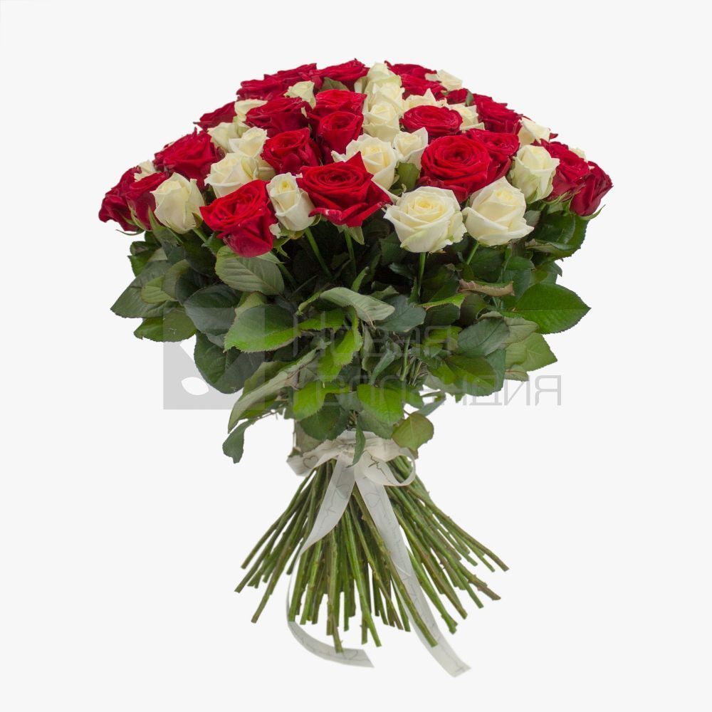 Букет 101 красно-белая роза 50 см