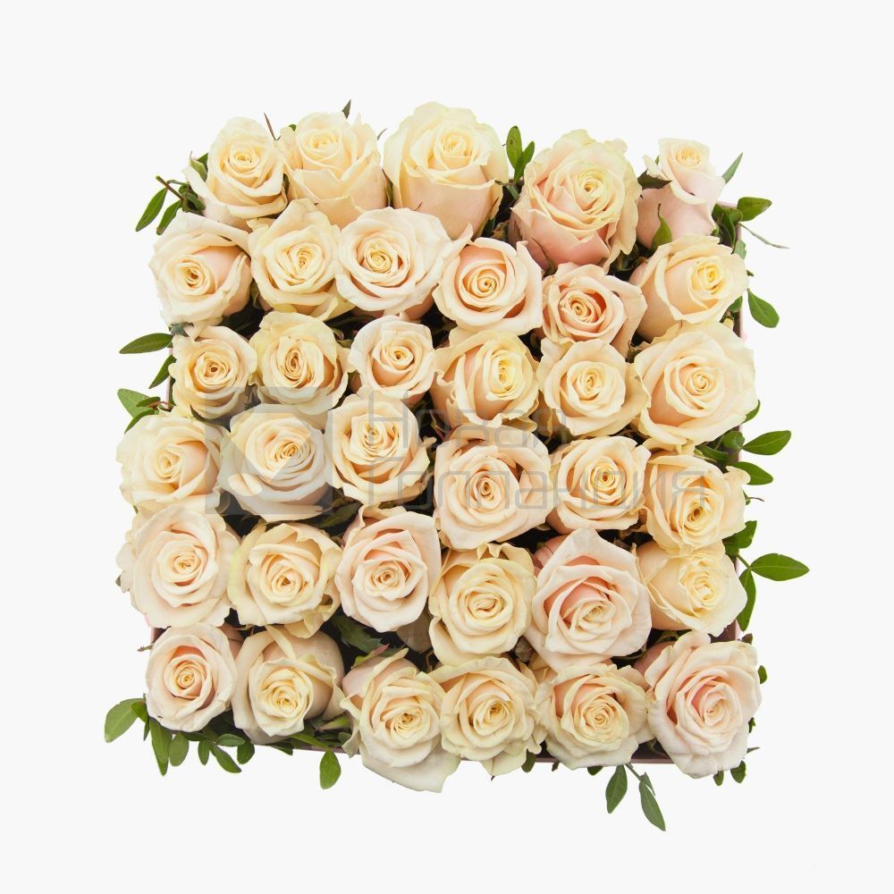 35 кремовых роз в большой черной коробке шкатулке с макарунсами №469